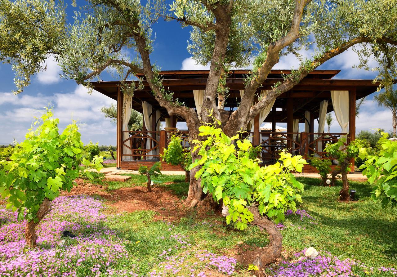 Chateau Roslane Boutique Hotel & Spa Meknès Zewnętrze zdjęcie
